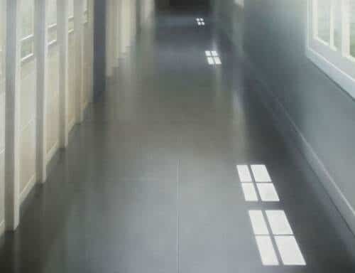 Expositie Elzo Dibbets