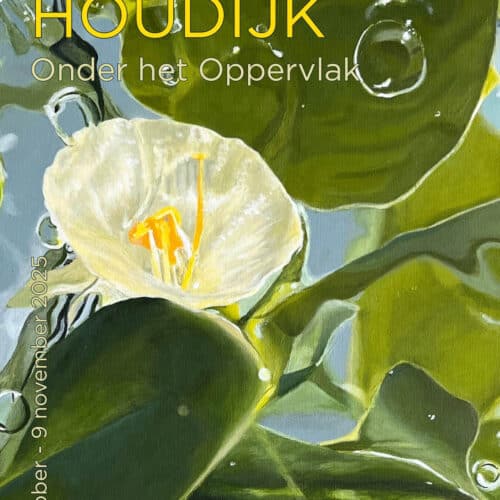 Hannelore Houdijk exposeert in Huizer Museum