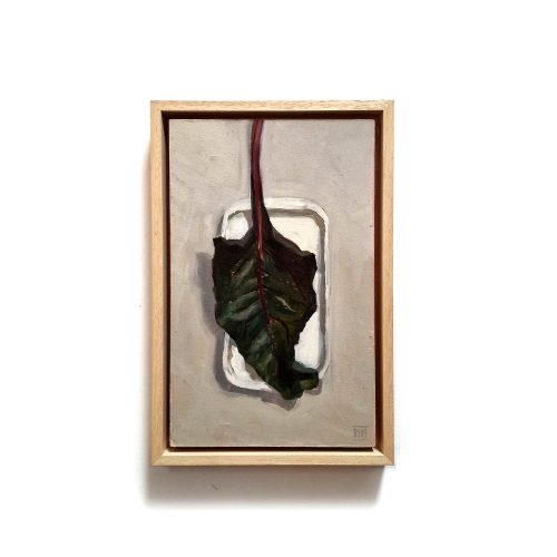 0029-2024-2031-Snijbiet-LR