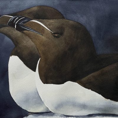 20240130_IMG_1833_249061-©SW