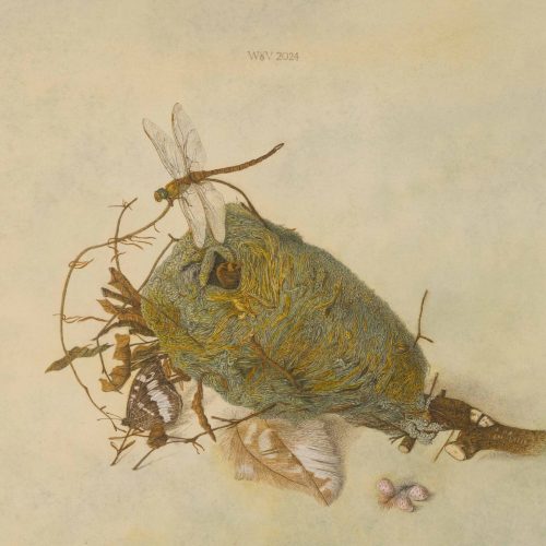 20240324-Nestje-op-de-groei