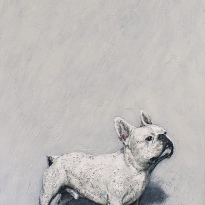 209-Dagebull-Dog-80-cm-x-160-cm-2023-1