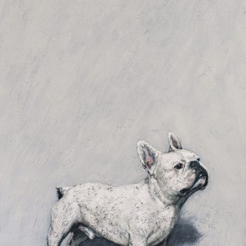 209-Dagebull-Dog-80-cm-x-160-cm-2023-1