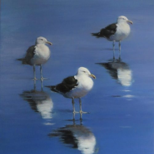 3-Gulls