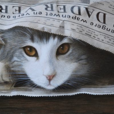 5CB17D2F-DABC-4E83-8854-0F3134A4DEF1