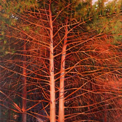 80263-Zeedennen-in-avondrood-80-x-100-robdonders_art-HR