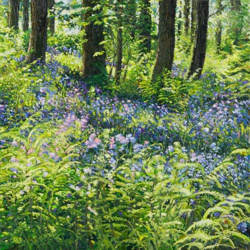 80310-Omringd-door-schoonheid-robdonders_art-XLR