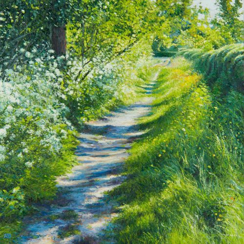 80312-Kapellaan-staat-in-bloei-40-x-40-robdonders_art-XLR