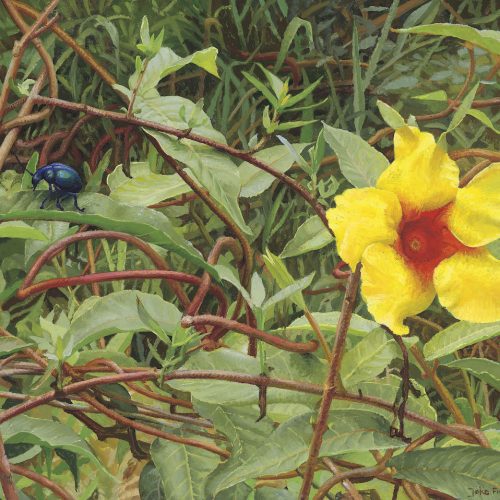 De-Blauwe-Kever2006olieverf-op-paneel30x40cm-copy-klein