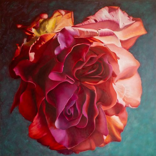 Dubbelhartige-roos-site