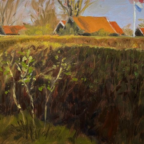 IMG_1677-Sch-Voorstreek-onderg-zon-op-515x25cm