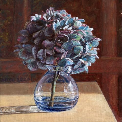 IMG_5177-Hortensia-in-bl-vaasje-20x20-1