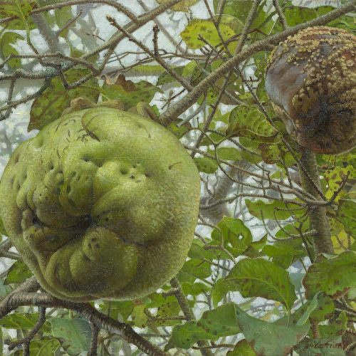 Quince-in-early-decline-2019-oil-on-panel-29-x-39-cm-copy-klein