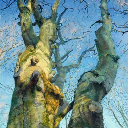 Reikend-naar-de-hemel