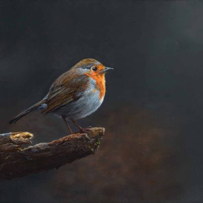 Roodborstje-47-18x24-1