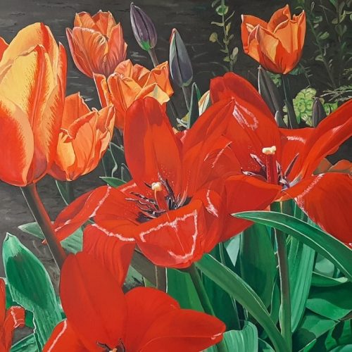 Tulpen-in-onze-tuin-80x100-cm
