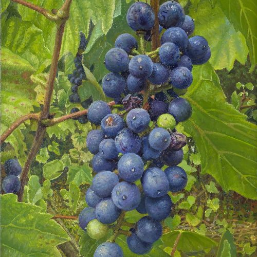 Wijngaard-druiven-2021-olieverf-op-paneel-30-x-21-cm-copyklein-