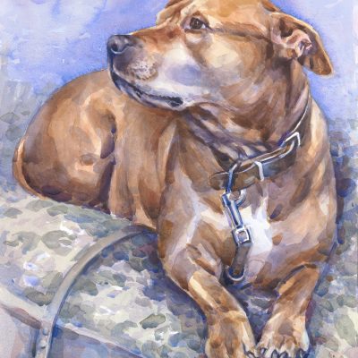 Yola-aquarel-op-papier-51x62cm-kopie-3