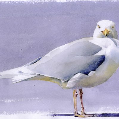 grote-burgemeester-1