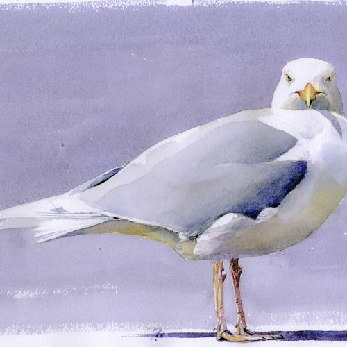 grote-burgemeester-1