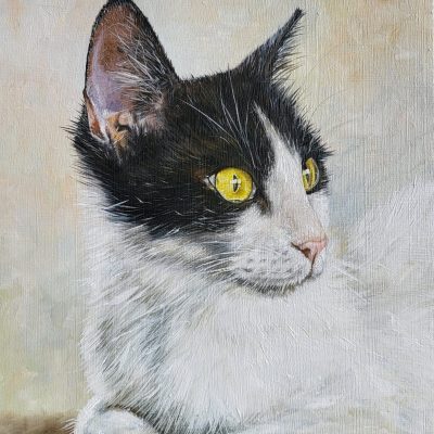 kattenportret-in-olieverf-Oreo