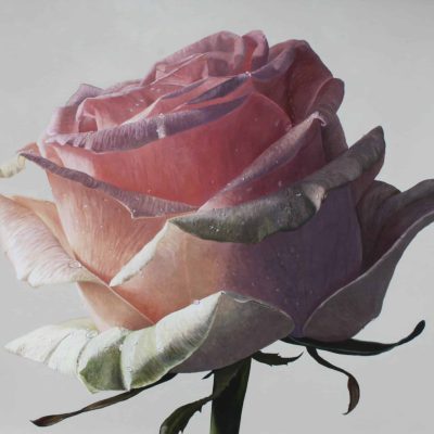 roosmetwaterdruppelsIIklein