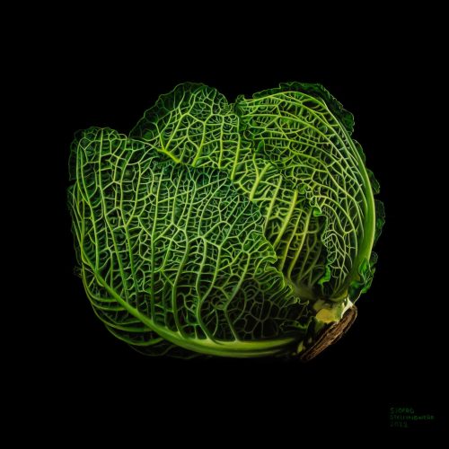 sjoerd_stellingwerf_fijnschilder_2205_savooiekool