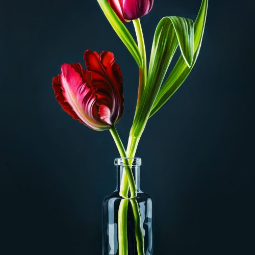 sjoerd_stellingwerf_fijnschilder_2211_tulpen